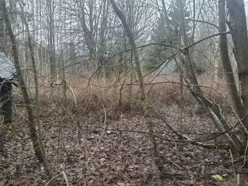 Участок в Ярославская область, Пошехонский муниципальный округ, д. ... - Фото 2