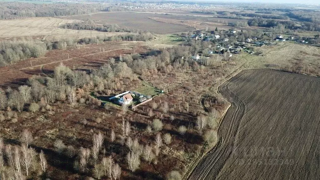 Участок в Калининградская область, Зеленоградский муниципальный округ, ... - Фото 1