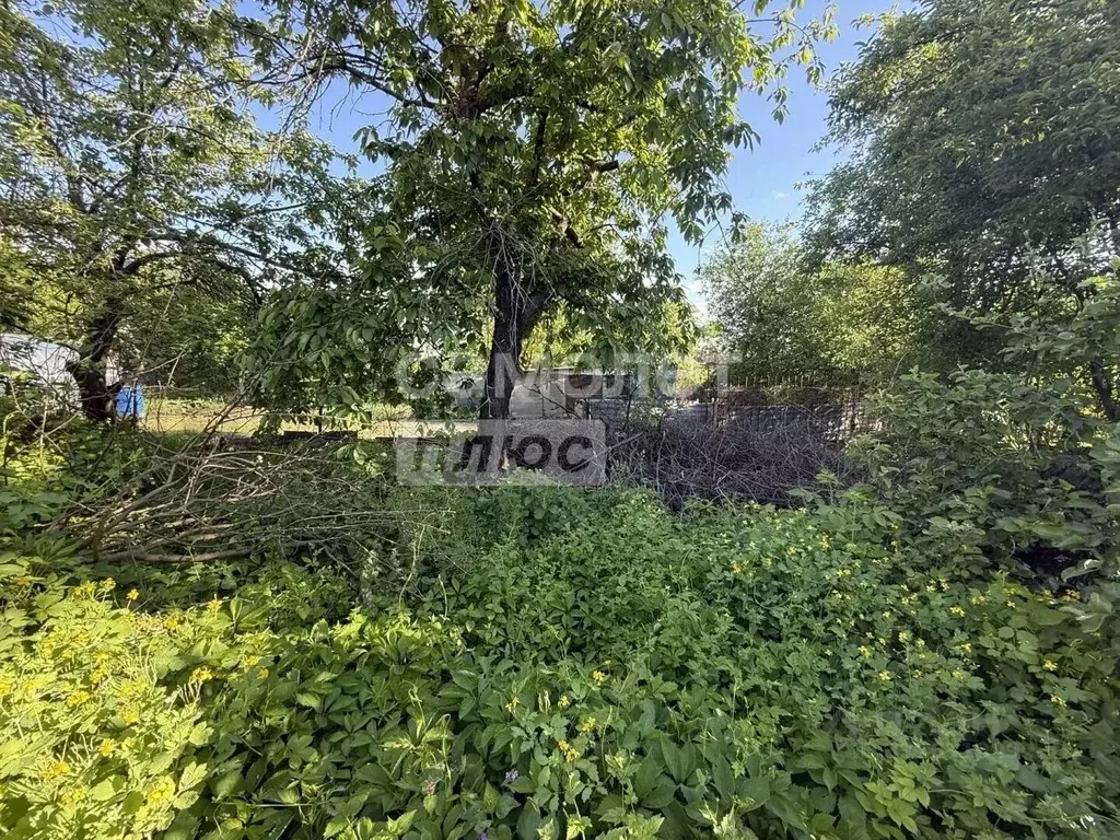 Участок в Курская область, Курск ул. Сыромятникова (6.0 сот.) - Фото 2