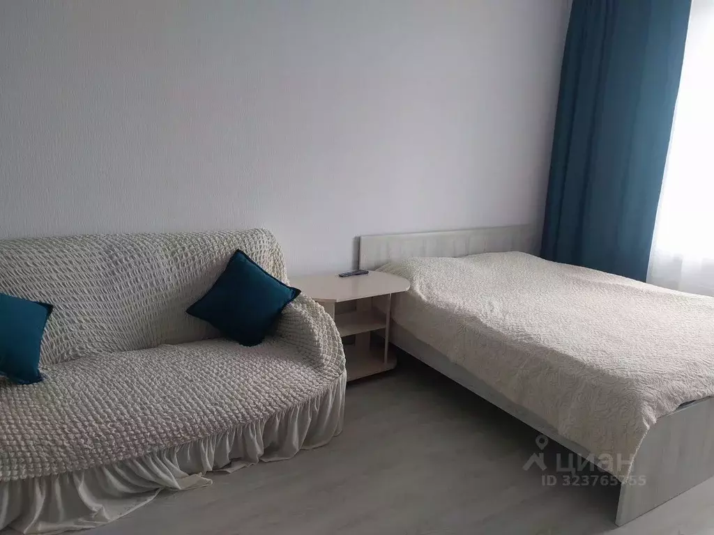 Студия Псковская область, Псковский район, Завеличенская волость, д. ... - Фото 1