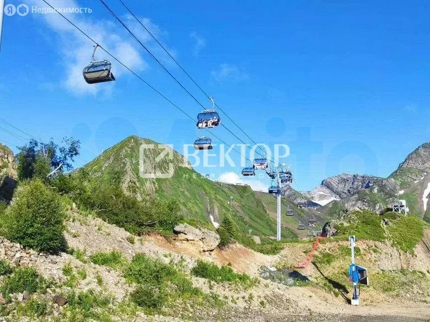 Участок в Кострома, садоводческое товарищество Дубки, 617 (4.13 м) - Фото 0