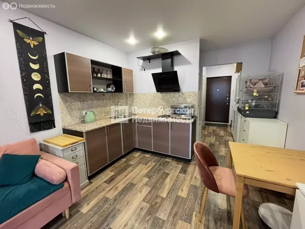 Квартира-студия: Мурино, проспект Авиаторов Балтики, 3к1 (26.9 м) - Фото 2