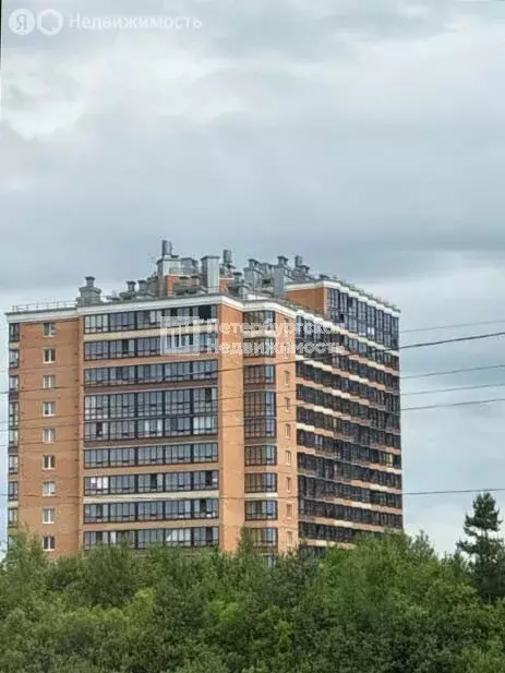 Квартира-студия: Всеволожск, шоссе Дорога Жизни, 7к3 (22.9 м) - Фото 1