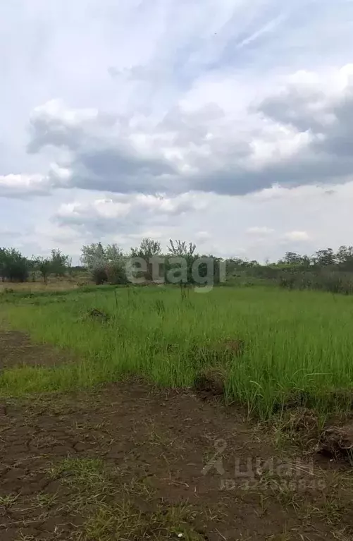 Участок в Ростовская область, Азов Азовский район,  (11.84 сот.) - Фото 1