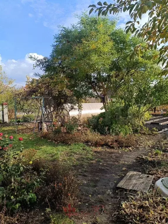 Дом в Белгородская область, Белгородский район, Тавровское с/пос, с. ... - Фото 2