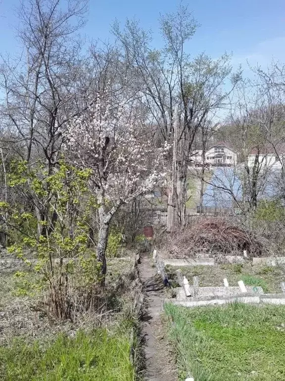 Участок в Приморский край, Владивостокский городской округ, пос. ... - Фото 1