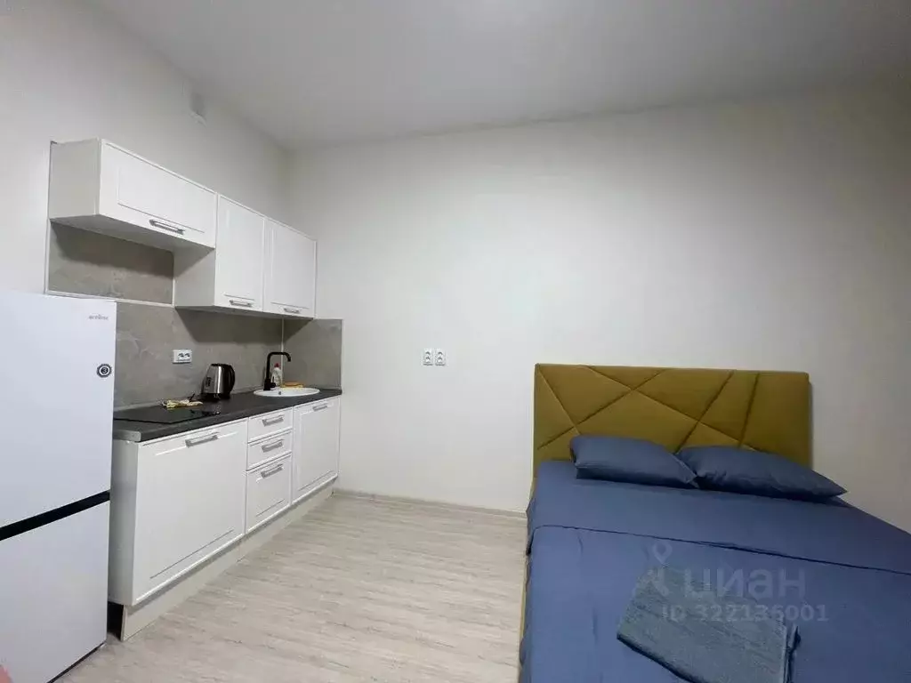 Студия Свердловская область, Екатеринбург ул. Фрунзе, 31/2 (30.0 м) - Фото 2