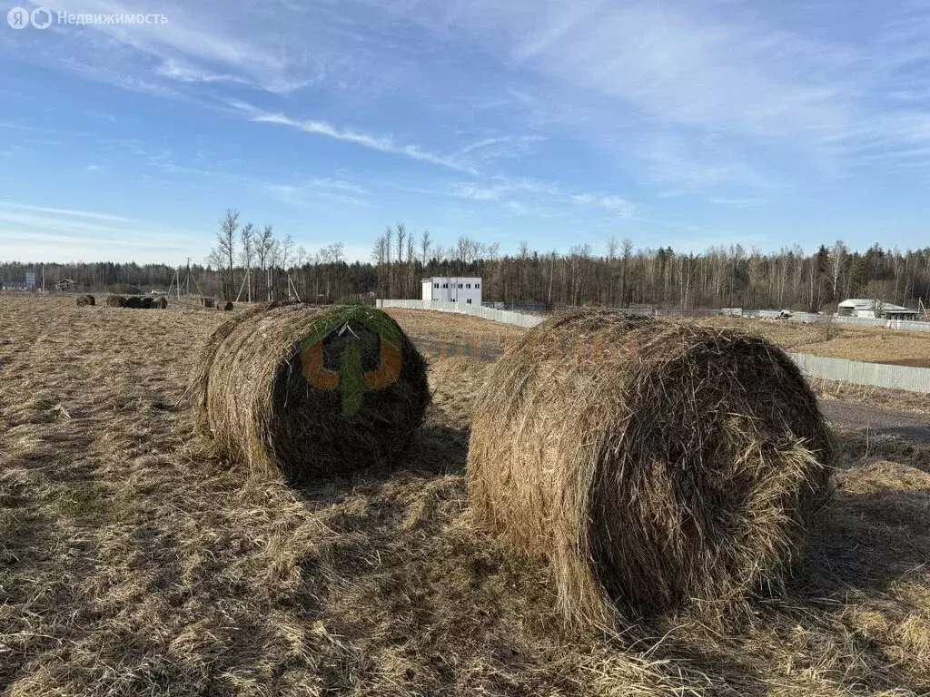 Участок в Оржицкое сельское поселение (126 м) - Фото 1