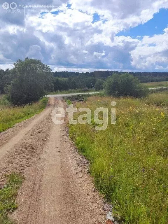 Участок в Вологодская область, Грязовецкий муниципальный округ, ... - Фото 1