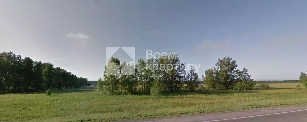 Участок в Новосибирская область, Ордынский район, с. Вагайцево  (593.0 ... - Фото 0