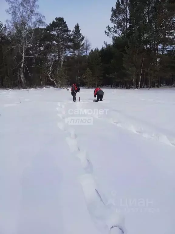 Участок в Иркутская область, Иркутский муниципальный округ, пос. ... - Фото 1