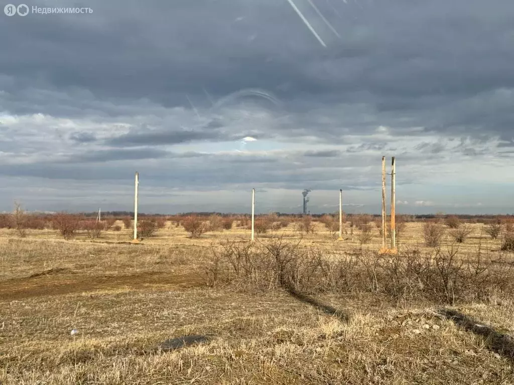 Участок в Балаковский район, Быково-Отрогское муниципальное ... - Фото 1