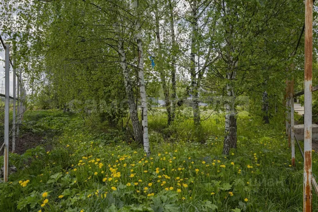 Участок в Московская область, Одинцовский городской округ, д. Бородки ... - Фото 2
