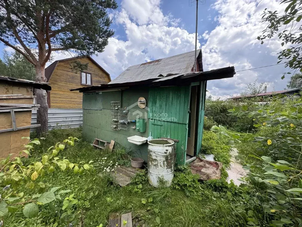 Участок в Ленинградская область, Отрадное Кировский район, Огородник ... - Фото 1