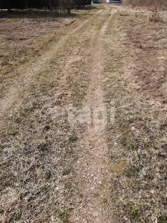 Участок в Вологодская область, д. Турутино  (10.0 сот.) - Фото 1