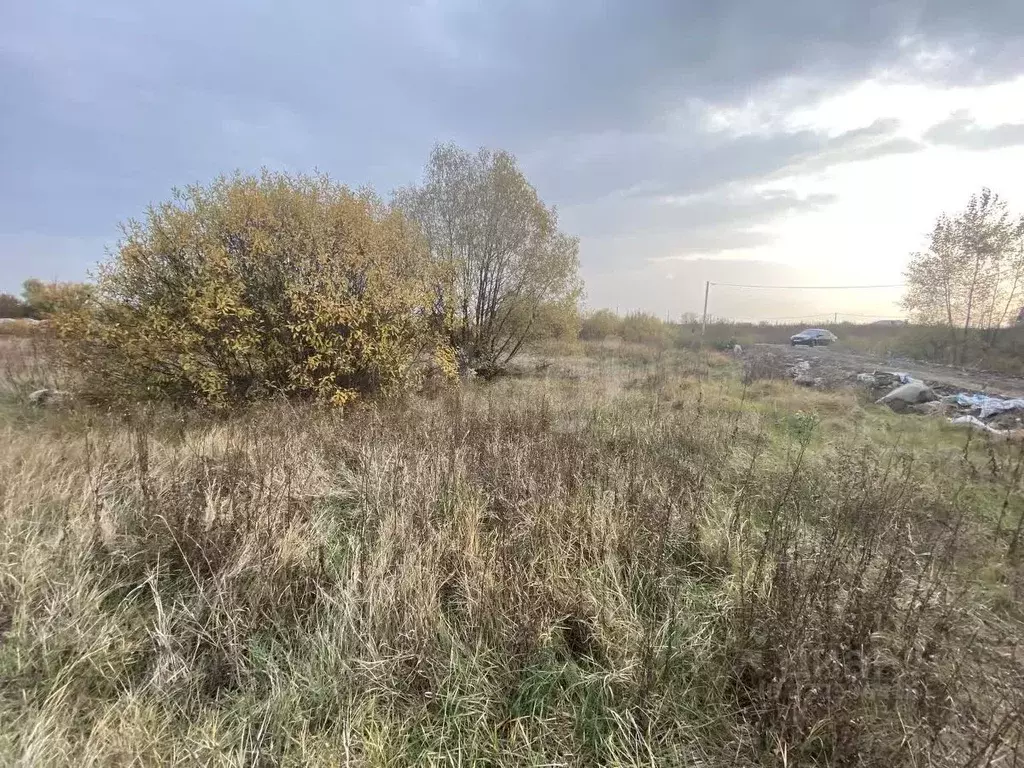 Участок в Воронежская область, Новоусманский район, с. Бабяково ... - Фото 1