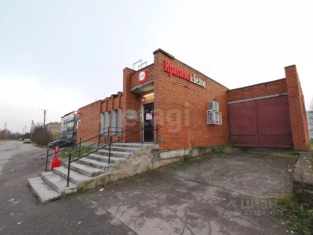 Торговая площадь в Псковская область, Остров Строитель мкр, 12 (333 м) - Фото 2