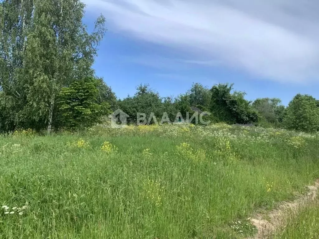 Участок в Владимирская область, Суздальский район, Новоалександровское ... - Фото 1