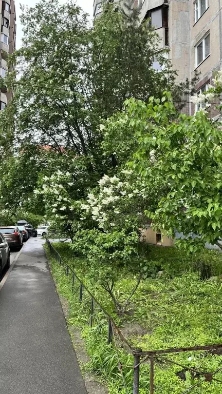 1-к кв. Санкт-Петербург Планерная ул., 73к5 (39.5 м) - Фото 2