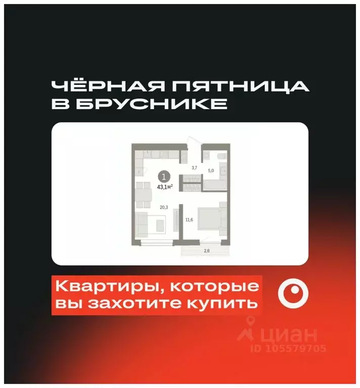 1-к кв. Новосибирская область, Новосибирск ул. Аэропорт, 88 (43.07 м) - Фото 0