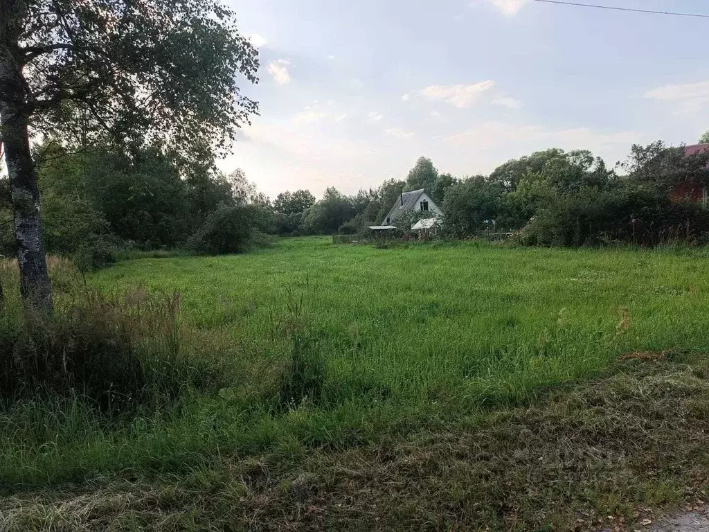 Участок в Московская область, Шатура городской округ, д. Волово  (30.0 ... - Фото 0