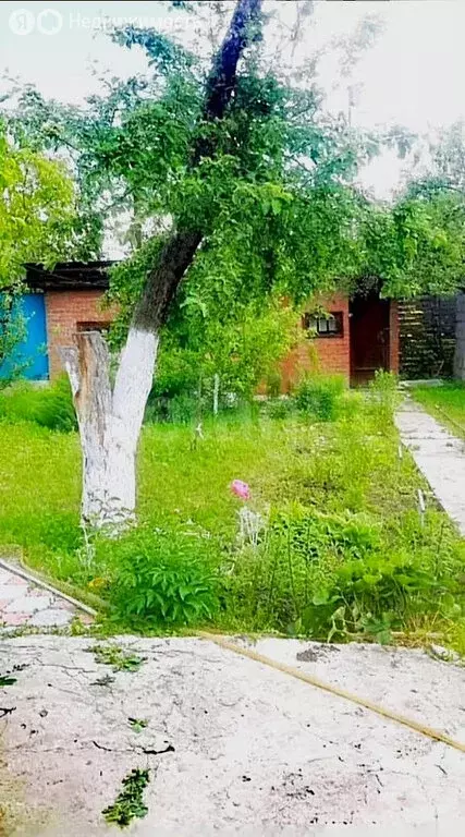 Дом в Энгельсский район, Красноярское муниципальное образование, СНТСН ... - Фото 1