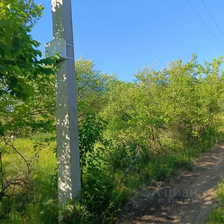 Участок в Саратовская область, Саратов Долина-123 СНТ, 182 (5.6 сот.) - Фото 1