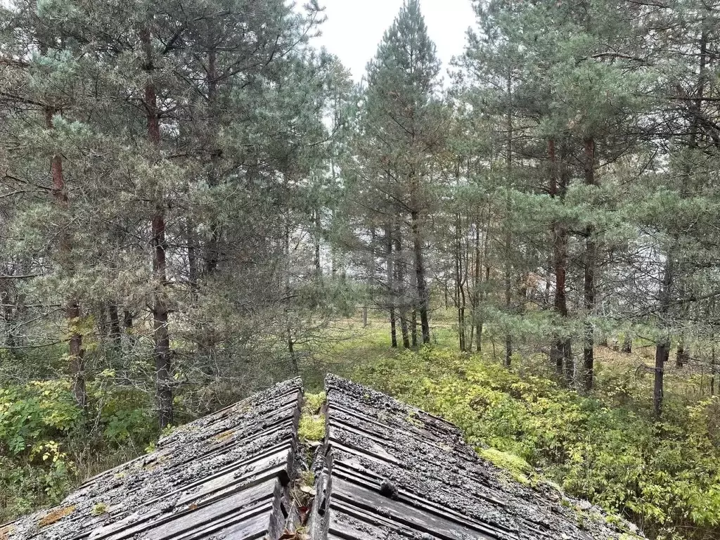 Дом в Псковская область, Себежский муниципальный округ, д. Угаринка  ... - Фото 2