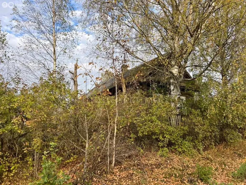 Дом в Сушанское сельское поселение, деревня Коршево, 9 (39 м) - Фото 2