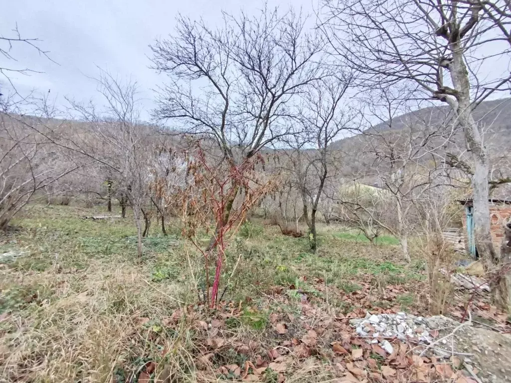 Участок в Краснодарский край, Сочи пер. Адыгейский, 1 (8.0 сот.) - Фото 1