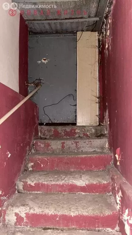 Помещение свободного назначения (240 м) - Фото 1