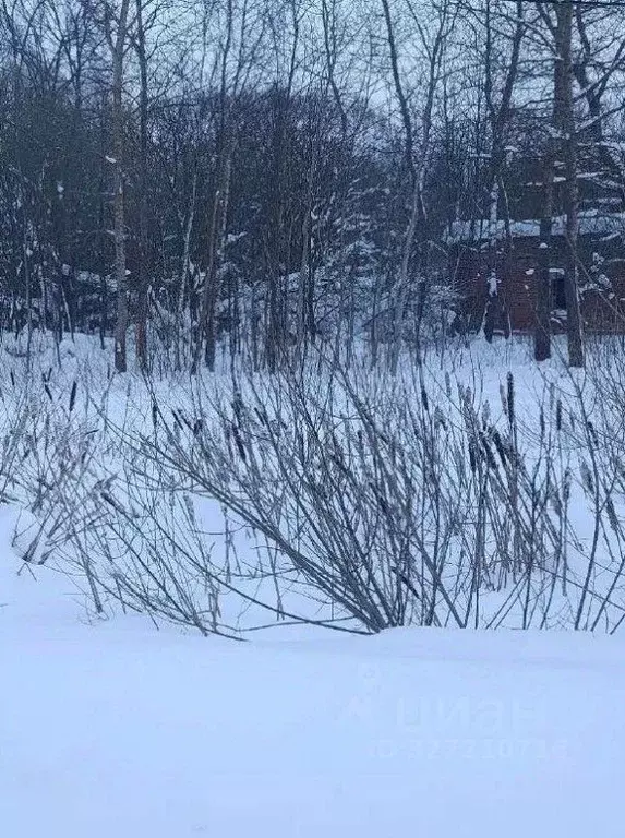 Участок в Московская область, Чехов муниципальный округ, д. Булычево  ... - Фото 2