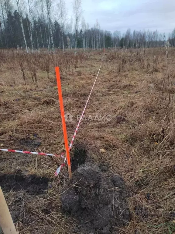 Участок в Ленинградская область, Выборгский район, Каменногорское ... - Фото 1