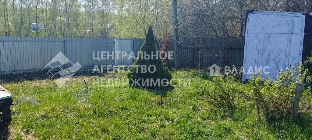 Участок в Рязанская область, Рязанский муниципальный округ, Птицевод ... - Фото 1