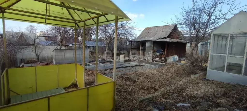 Участок в Челябинская область, Красноармейский район, Березовское ... - Фото 2