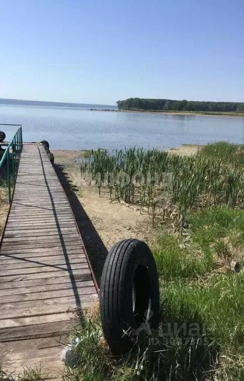 Участок в Новосибирская область, Ордынский район, с. Красный Яр ул. ... - Фото 1