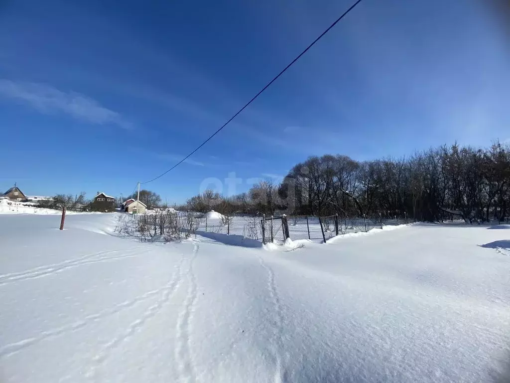 Участок в Московская область, Коломна городской округ, с. Горы ул. ... - Фото 1
