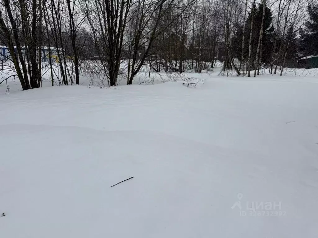 Участок в Московская область, Пушкинский городской округ, Ашукино пгт ... - Фото 2