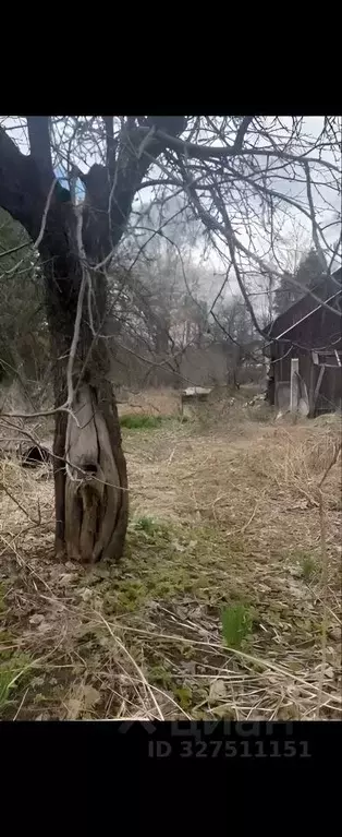 Участок в Московская область, Химки городской округ, д. Елино 15 (12.0 ... - Фото 1