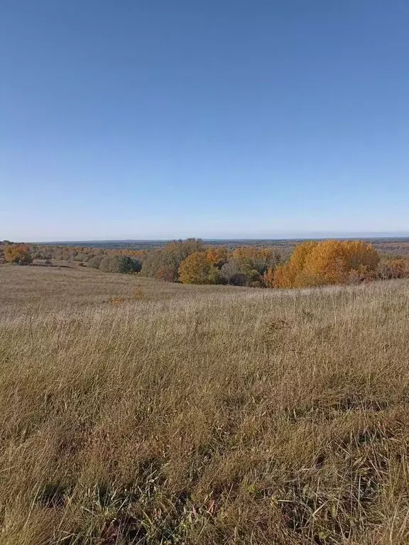 Участок в Ленинградская область, Ломоносовский район, Копорское с/пос, ... - Фото 1