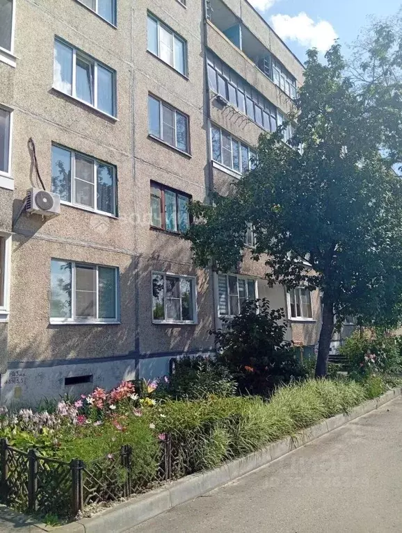 2-к кв. Чувашия, Шумерля ул. Урицкого, 3 (54.1 м) - Фото 2