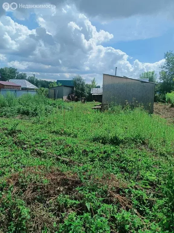 Участок в Новосибирск, СТ Заря-1 (5 м) - Фото 0