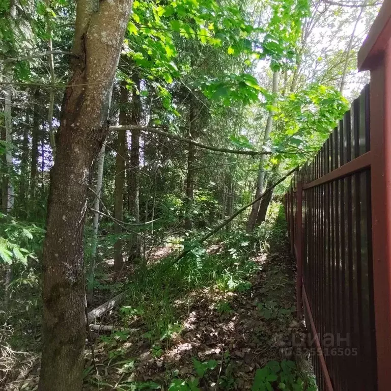 Участок в Московская область, Одинцовский городской округ, д. Сивково, ... - Фото 1