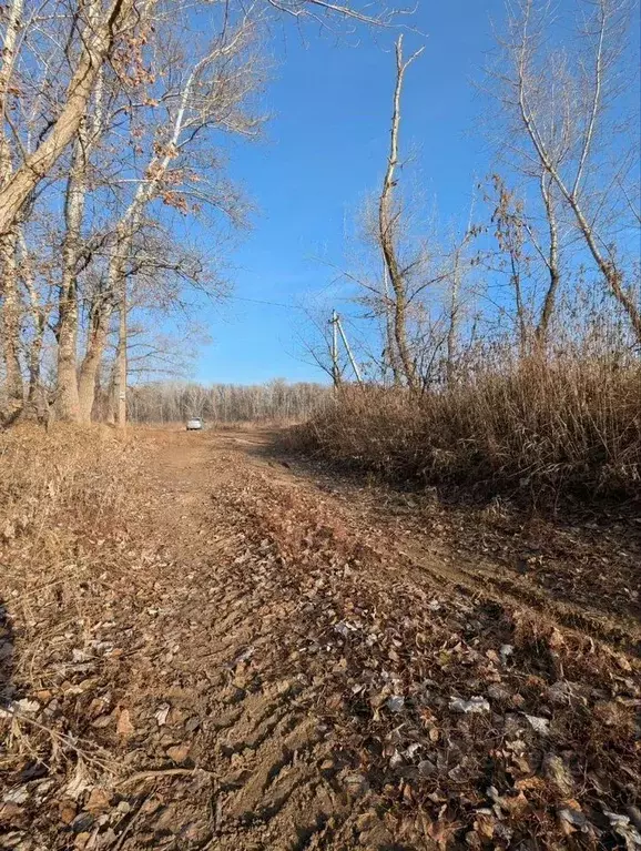 Участок в Оренбургская область, Оренбургский район, Весенний ... - Фото 0