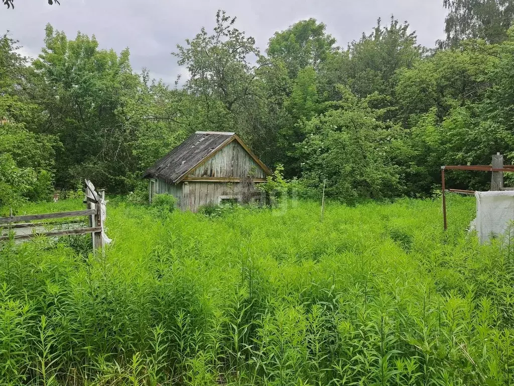 Дом в Брянская область, Брянск Родина садоводческое объединение,  (20 ... - Фото 0