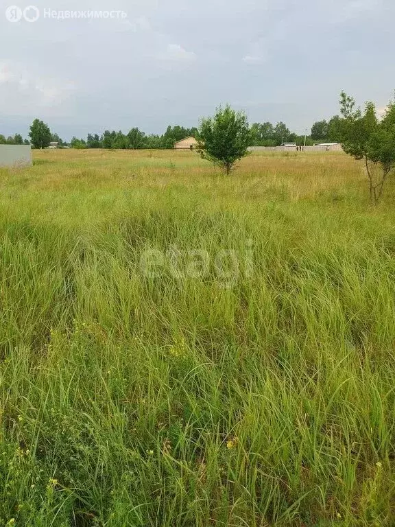 Участок в Колыванский район, СНТ Большая Семья (10.1 м) - Фото 1