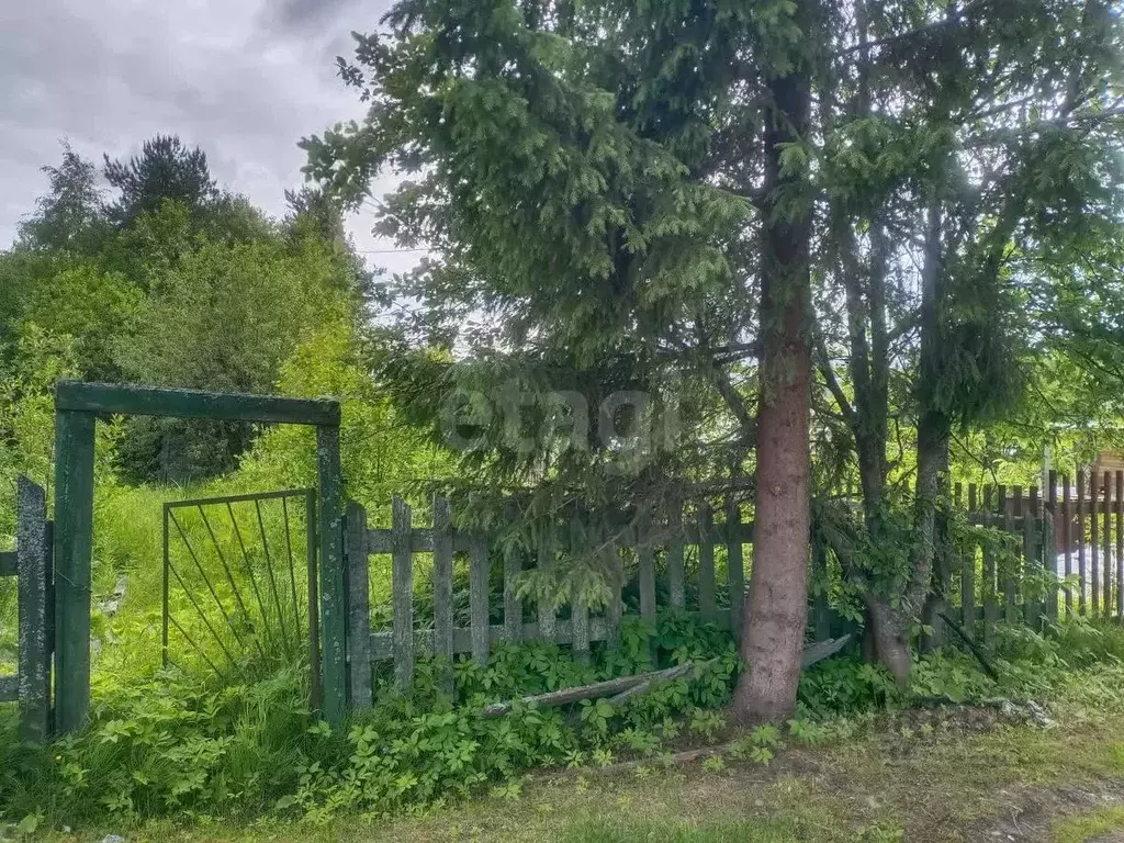 Участок в Архангельская область, Приморский муниципальный округ, ... - Фото 0