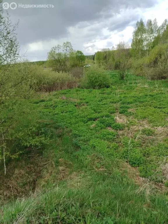 Участок в Нижегородская область, Богородский муниципальный округ, ... - Фото 1
