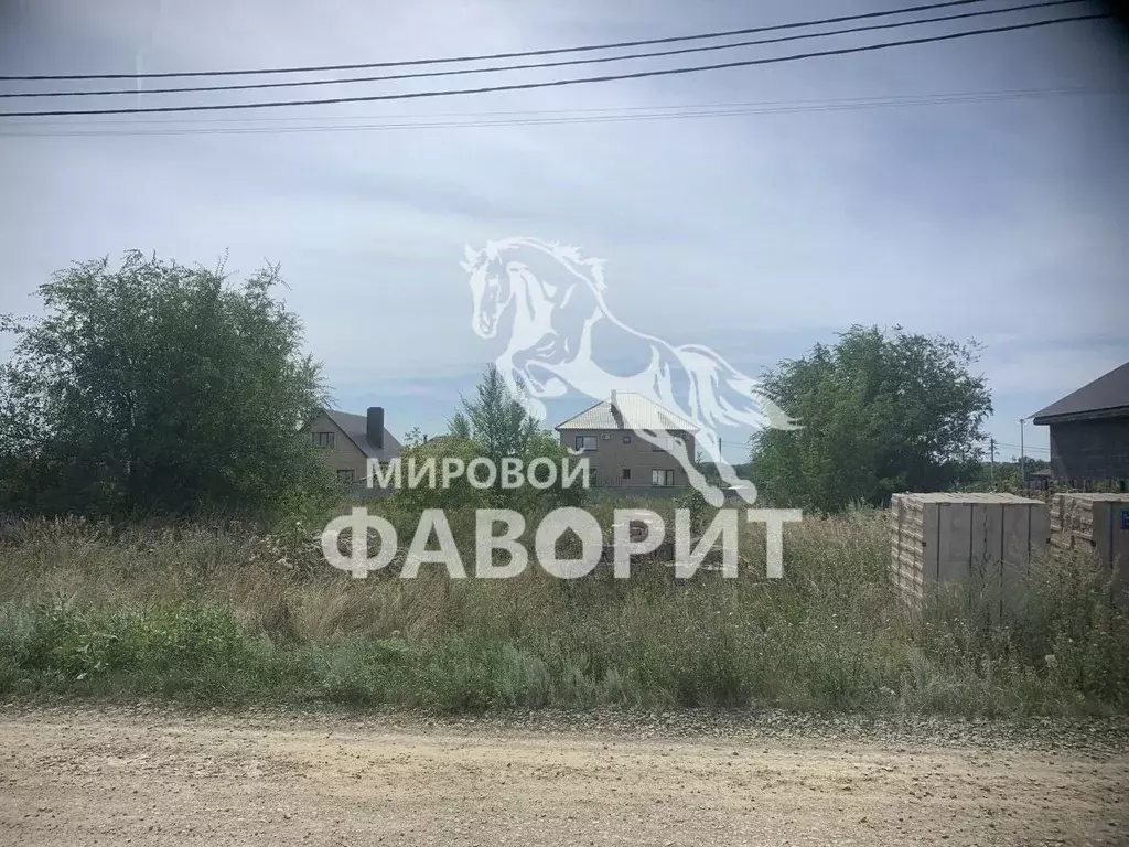 Участок в Оренбургская область, Оренбургский район, с. Нежинка ... - Фото 2