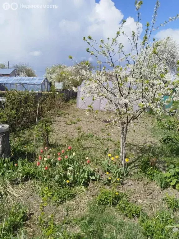 Дом в посёлок Новые Дарковичи, СДТ Болва, 348 (30 м) - Фото 1